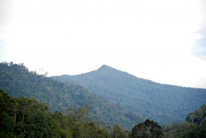 Pandangan dekat gunung Nunuk Sirung