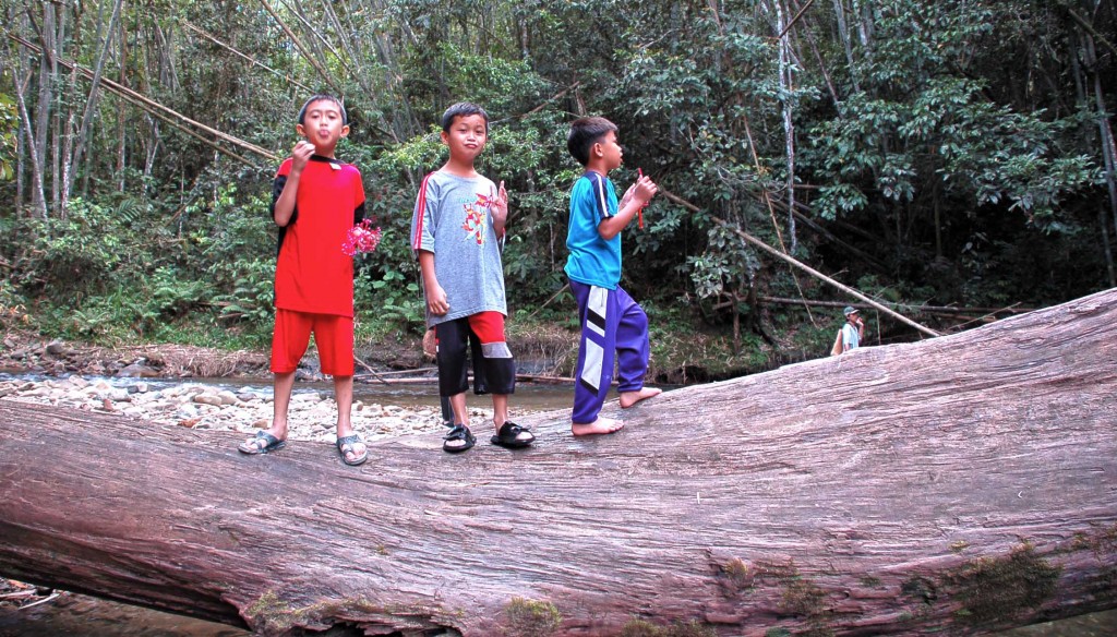 Watang (kayu) besar yang dihanyutkan air sungai Molout.